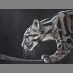 https://leathercraftersjournal.com/product/clouded-leopard-in-black-and-white/